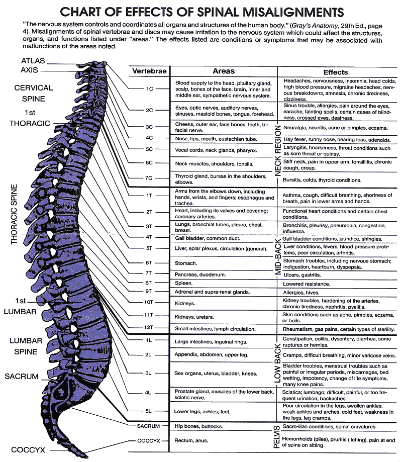 Chart Of Effects Of Vertebral Subluxations